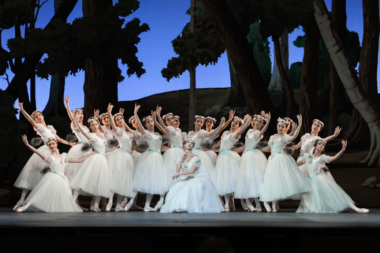 Sylphide ensemble