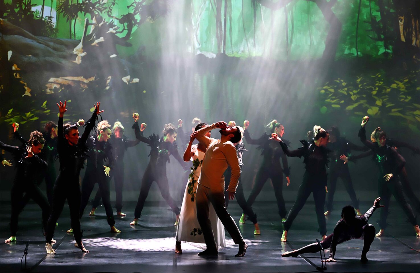 Revue DANSE 1