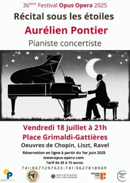 concert sous les Etoiles 2