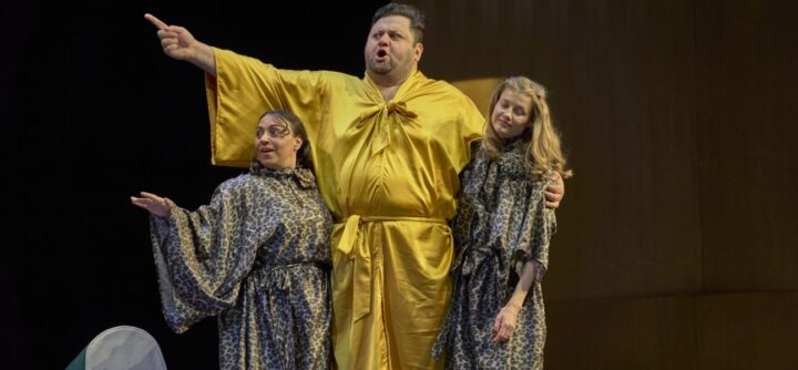 20251116_Aschenputtel_c-Michael-Bode-1-1294x600