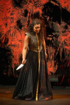 2025_Photo_Spectacle_IphigenieEnTauride_©StefanBrion_9