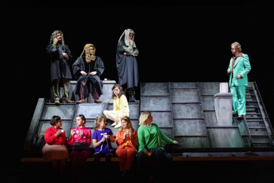 Die_englische_Katze_c_G.Schied__4_