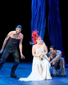 Flute enchantée @cyrilla cauvet (1)