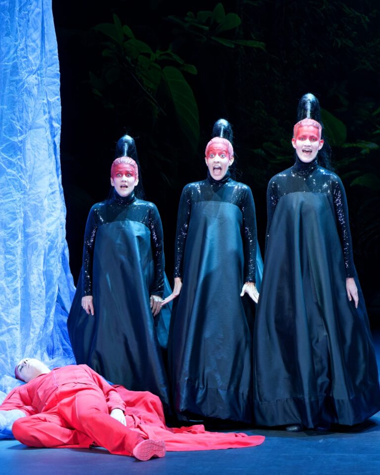 Saint-Étienne : La Flûte enchantée 3 Flute enchantee @cyrilla cauvet 10