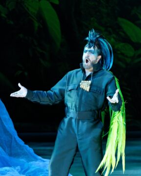 Flute enchantée @cyrilla cauvet (2)