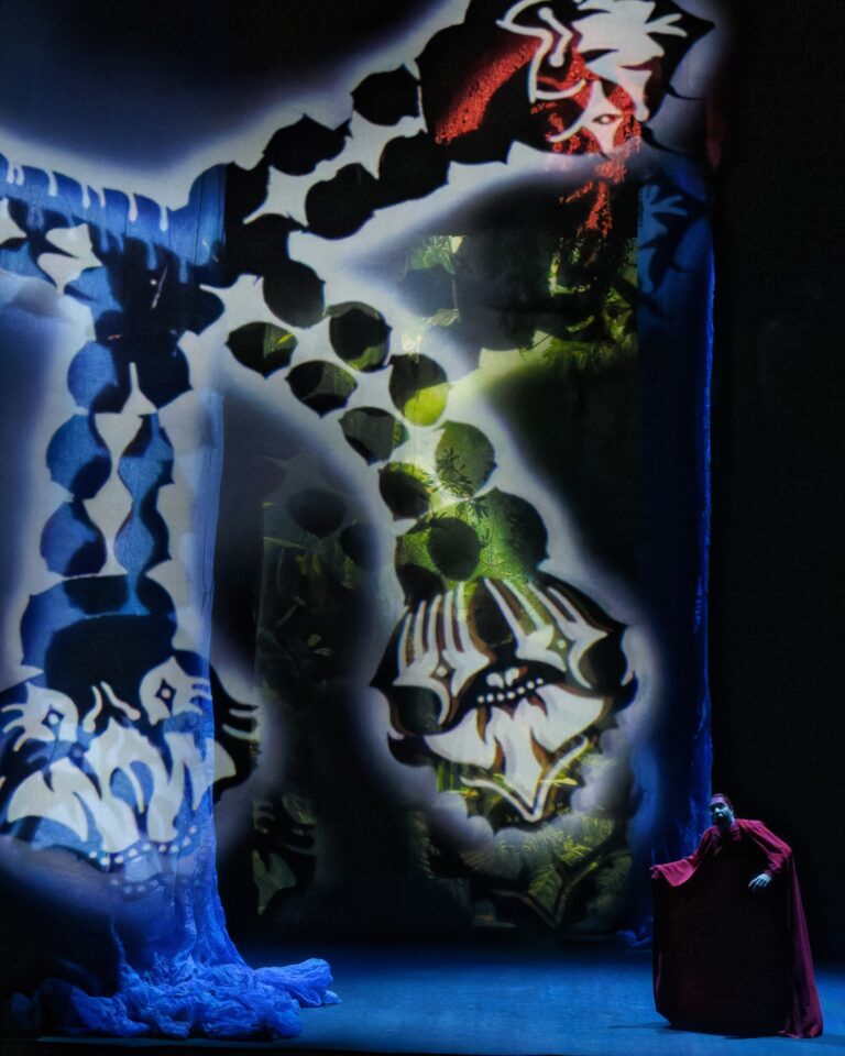 Saint-Étienne : La Flûte enchantée 1 Flute enchantee @cyrilla cauvet 5