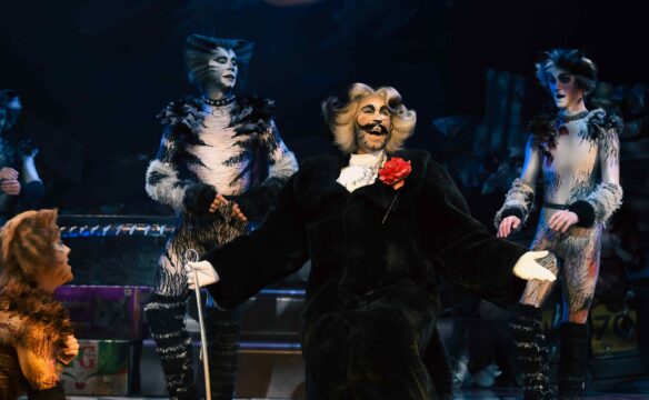 Cats ©Alessandro Pinna (1)