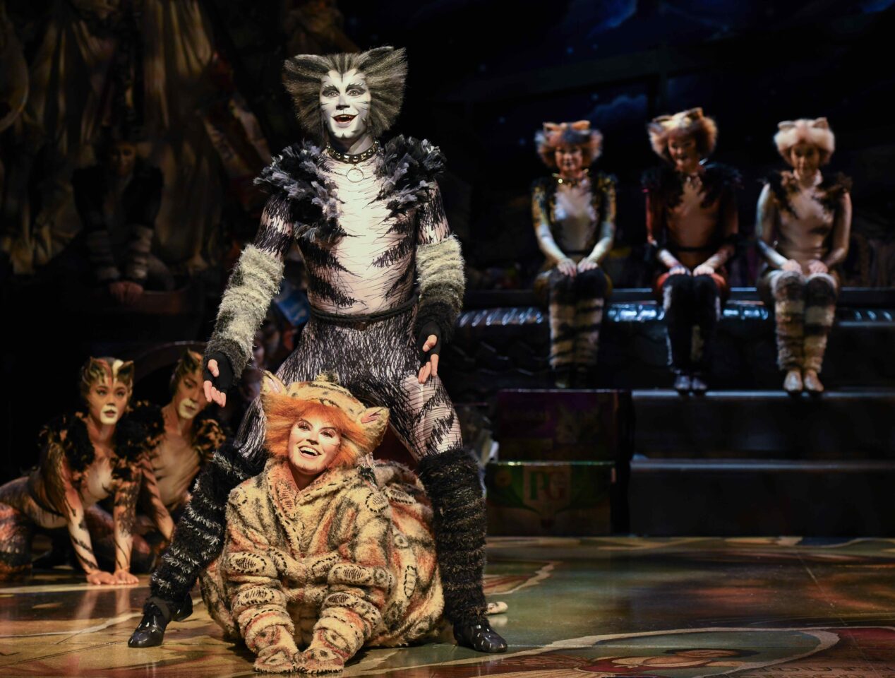 Opéra de Monte-Carlo : Cats la superbe « machine à danser » dans l’écrin de la Salle Garnier 7 Cats ©Alessandro Pinna 8 1