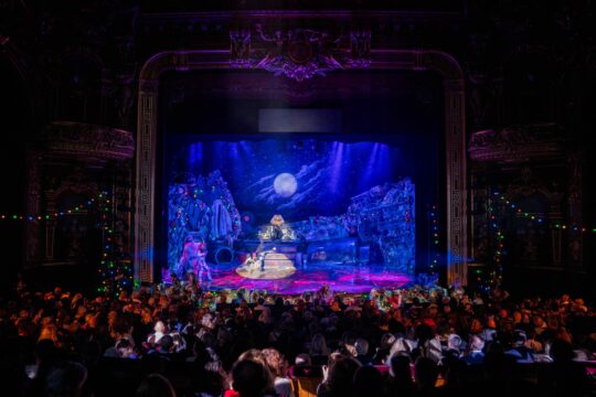 Cats ©OMC - Marco Borrelli (12)