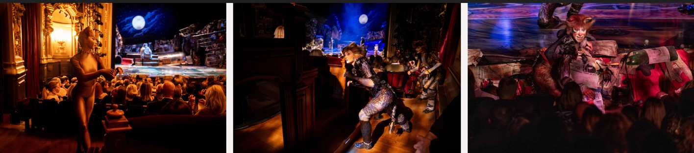 Opéra de Monte-Carlo : Cats la superbe « machine à danser » dans l’écrin de la Salle Garnier 9 Cats ©OMC Marco Borrelli