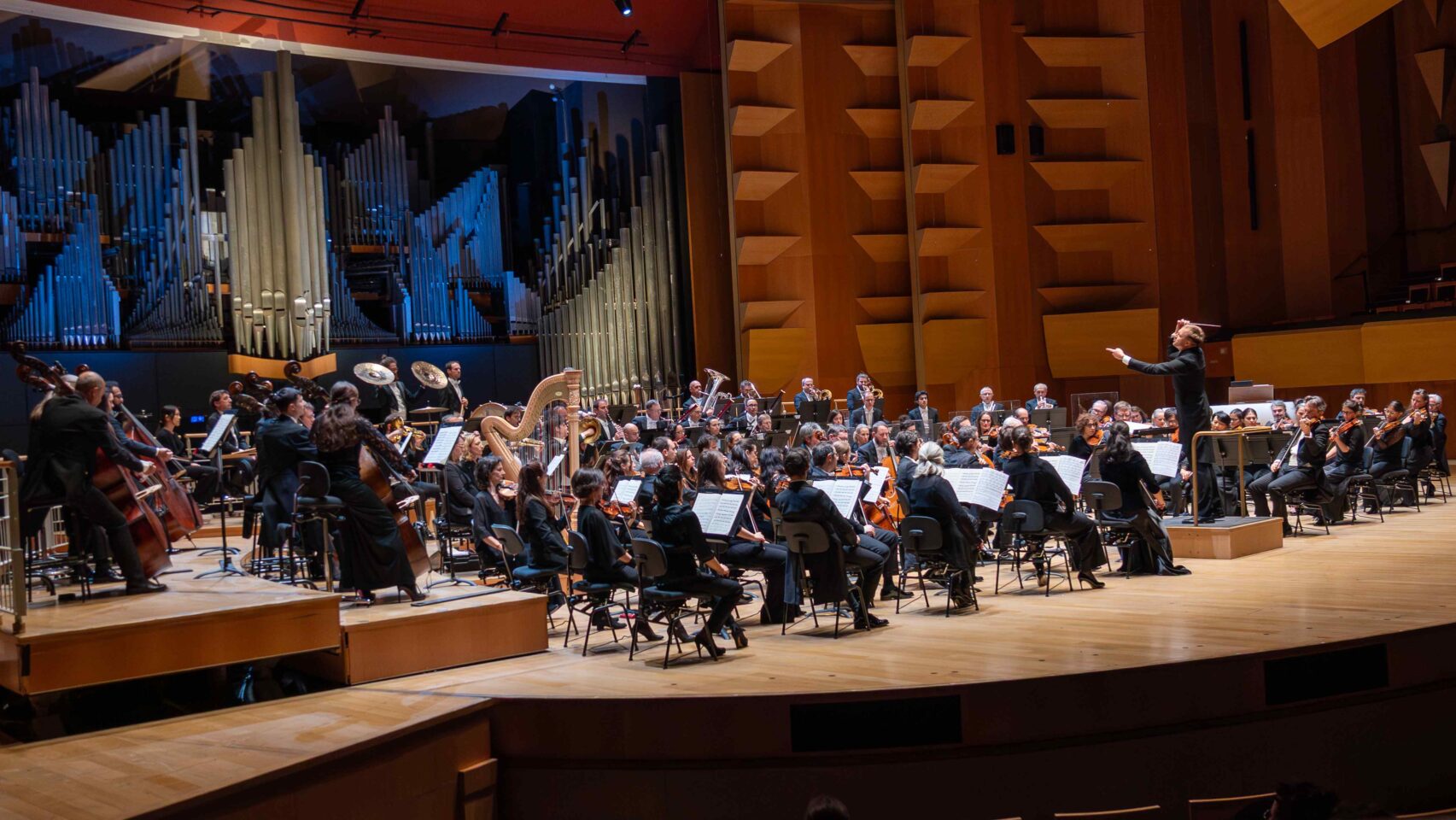 Concert ONL HAYDN TCHAIKOVSKI 28 Novembre 2025 Cliche N°4 © Yannis Adelbost 1 1