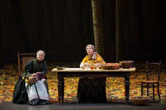 29372-Guergana_Damianova___OnP-Eugene-Oneguine-25-26---Guergana-Damianova---OnP--3-