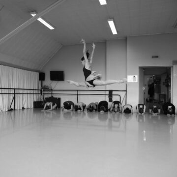 Firebird - ©Luc Bertau