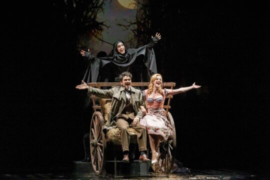 Frankestein Junior© Philippe Gisselbrecht (1)