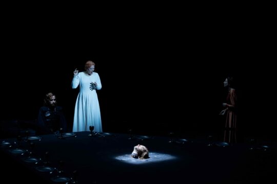 www-sergipanizo-cat_260112_liceu_tristanisolde_a_003