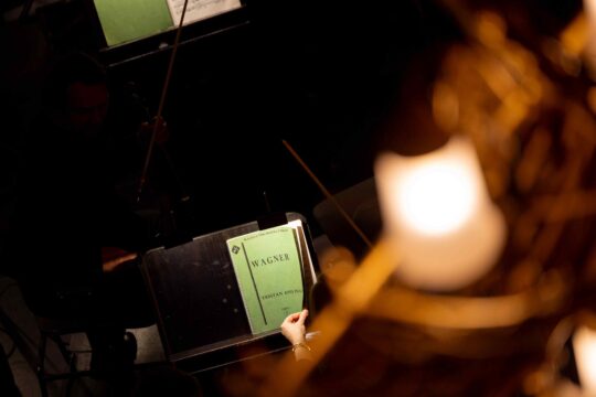 www-sergipanizo-cat_260115_liceu_tristanisolde_a_187