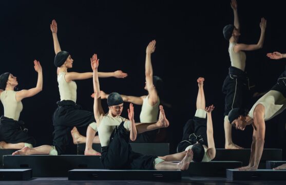 Common_Ground_Cacti_Ensemble_C__NICHOLAS_MACKAY-0309 (1)