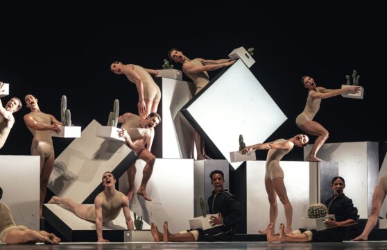 Common_Ground_Cacti_Ensemble_C__NICHOLAS_MACKAY-0375