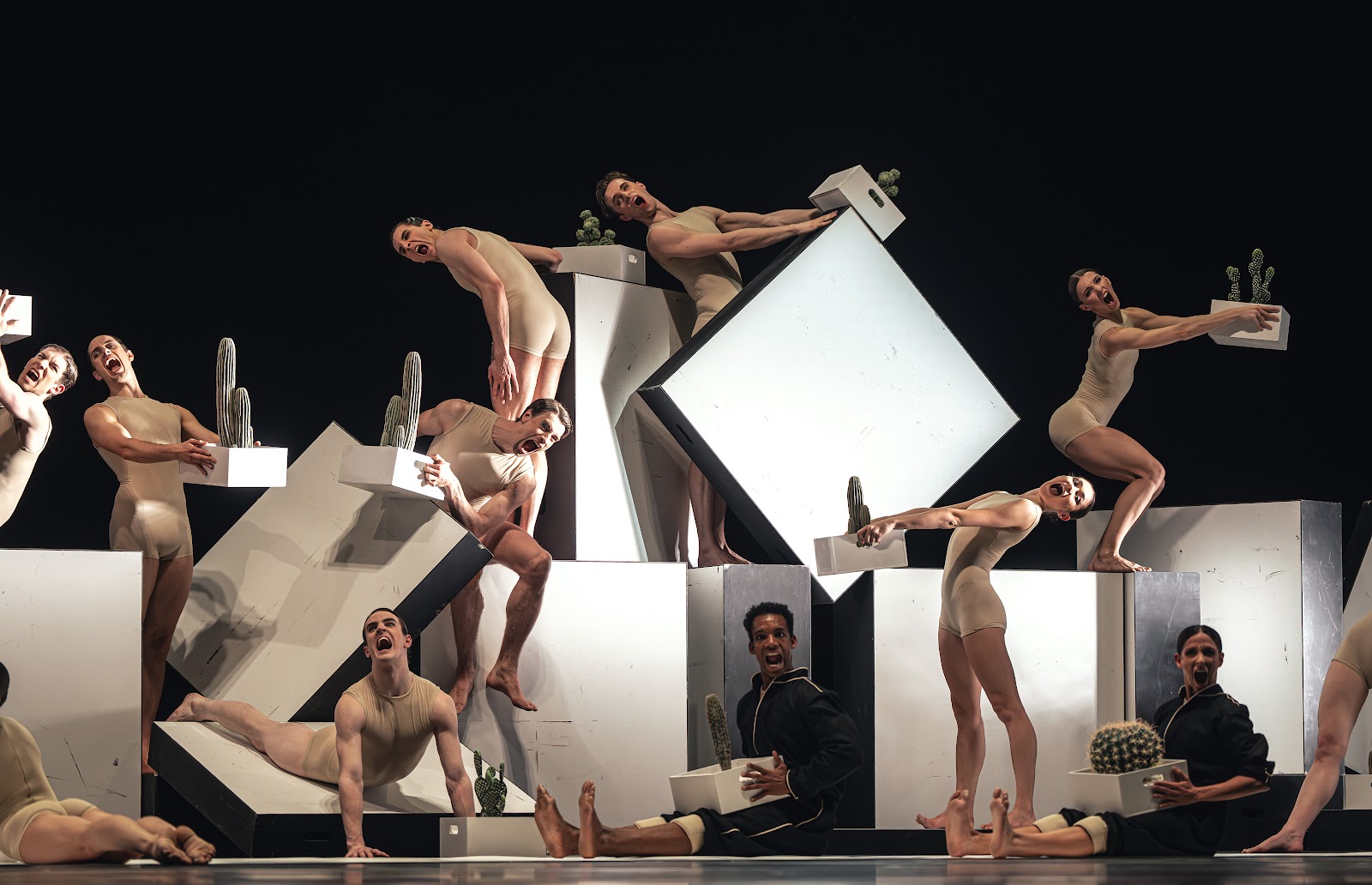 Common Ground, trois chorégraphies par le Bayerisches Staatsballett 1 Common Ground Cacti Ensemble C NICHOLAS MACKAY 0375