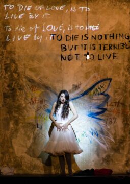 Rigoletto3_OHP_2026_S.Saenz_c_G.Schied (1)