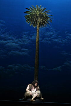 RB-ROBINSON CRUSOE PRE GENERALE-197