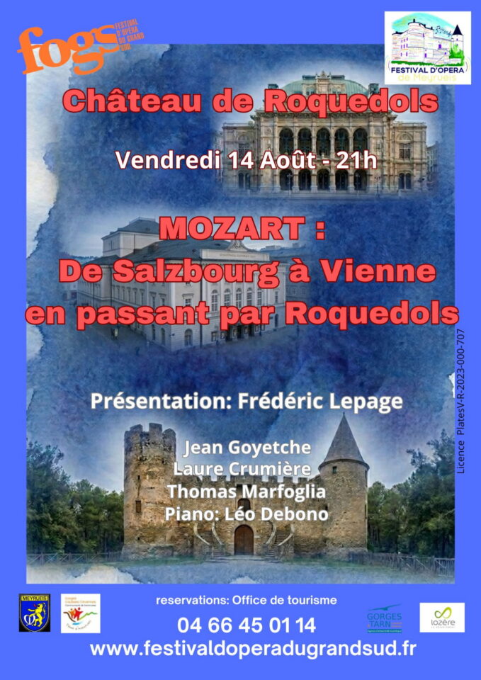Arlequin rasant un mousquetaire Louis XIV 20260627 123849 0000