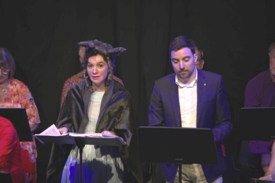 LES CONTES DE PERRAULT_10
